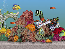AquaFish Screenshot